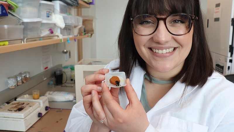 USU researcher Anna Figgins