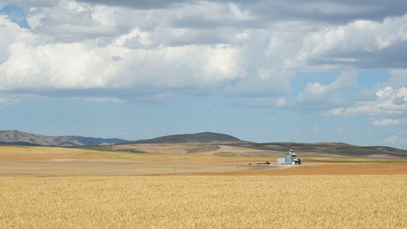 A farm.