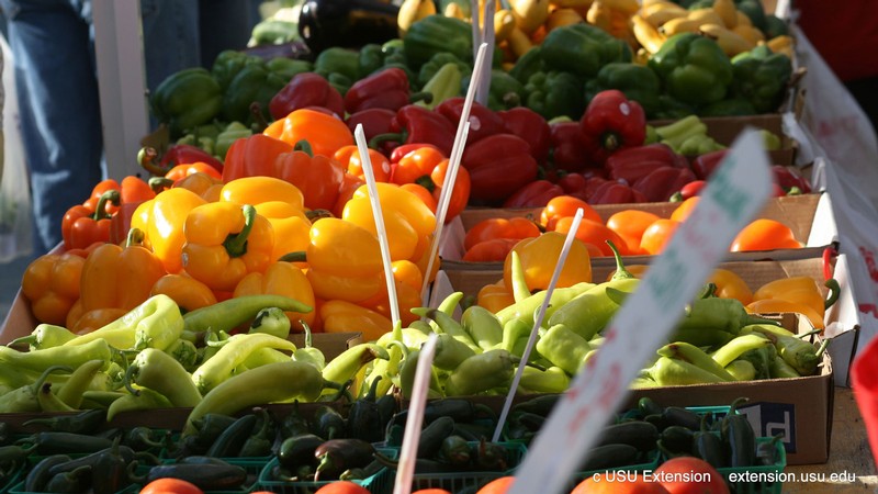 Peppers are displayed at the Cache Valley Gardener's Market.
