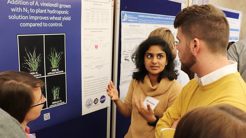 A researcher describing a poster of a study on wheat.