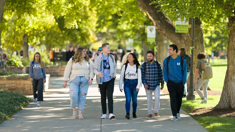A group of students walking along the Quad.
