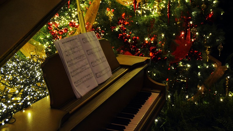 A piano in front of Christmas trees.