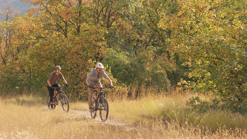 Two people riding mountain bikes.