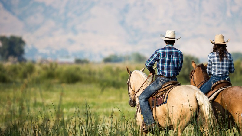 Two people riding horses.