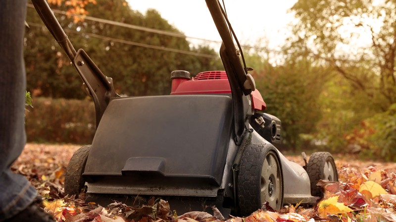 A lawnmower.
