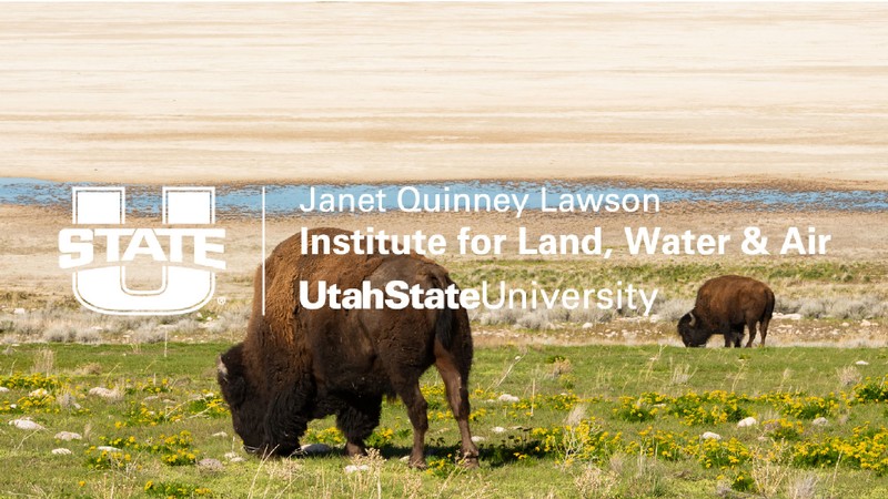 Bison grazing. Text Reads: Janet Quinney Lawson Institute for Land, Water and Air.