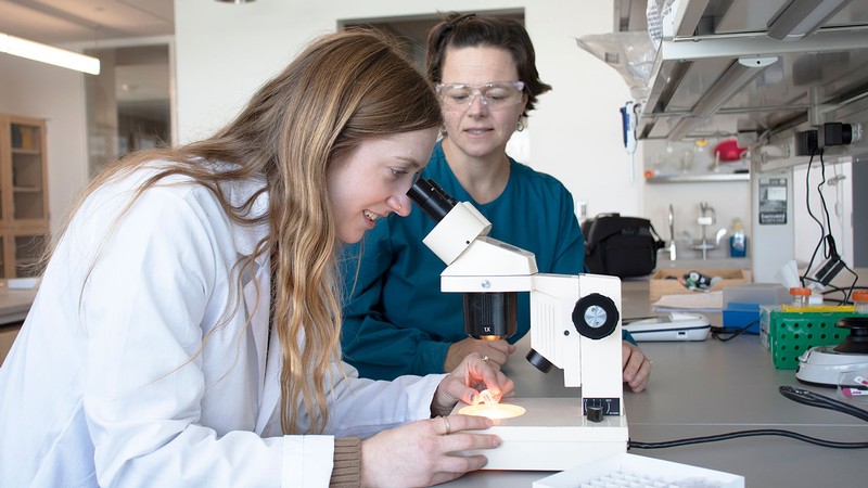 Scientists with microscope in lab
