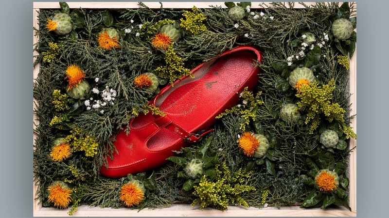 A red woman's shoe on a background of shrubs and blossoms.