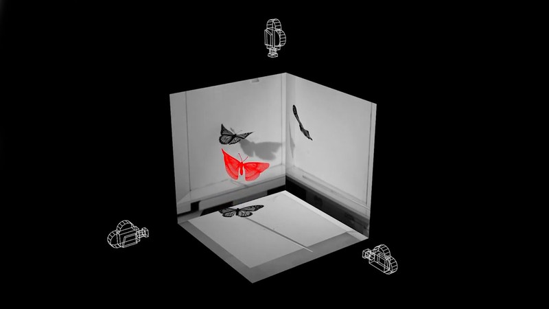A computer model of butterfly flight.