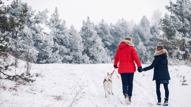 Two people walking a dog on a snowy trail.