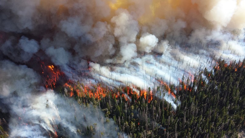 An aerial view of a wildfire.