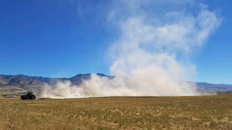 A dust plume rises behind a tractor in a field.