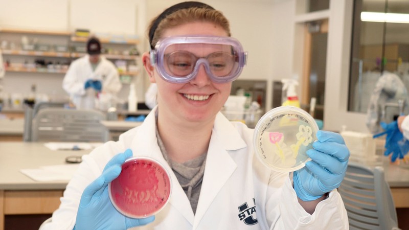 Agar Art: USU Microbiology Scholars Flex Their Creativity While Honing Essential Laboratory Skills