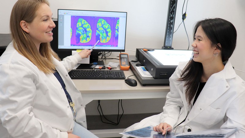 USU neuroscientists