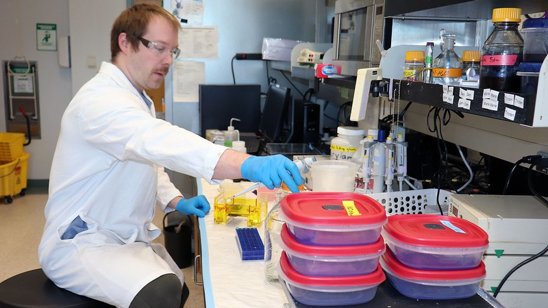 A biochemist at a lab bench.