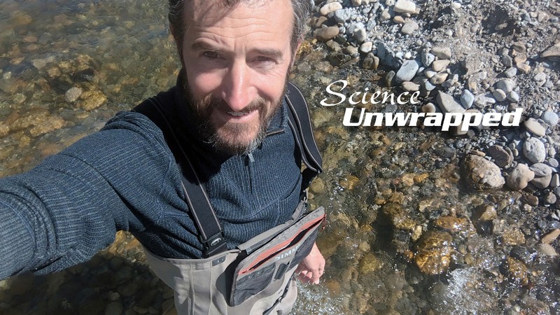 Patrick Belmont wading in a stream.