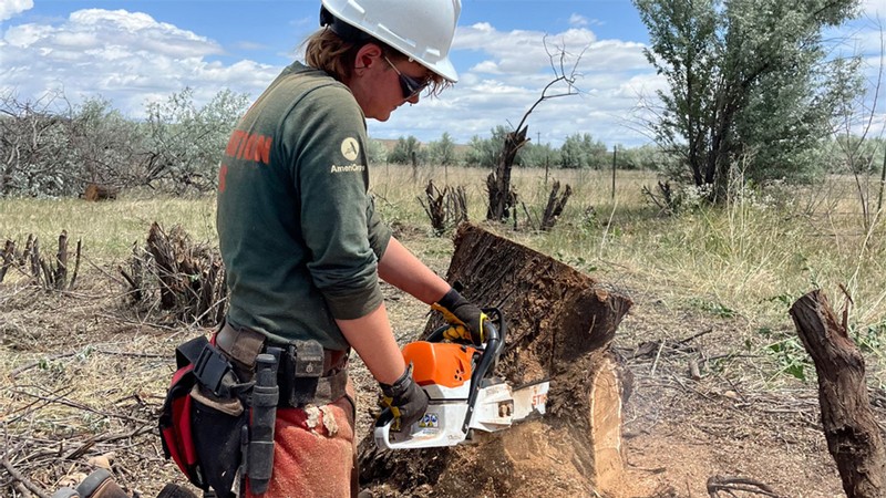 A person cutting up a tree stump with a chainsaw.