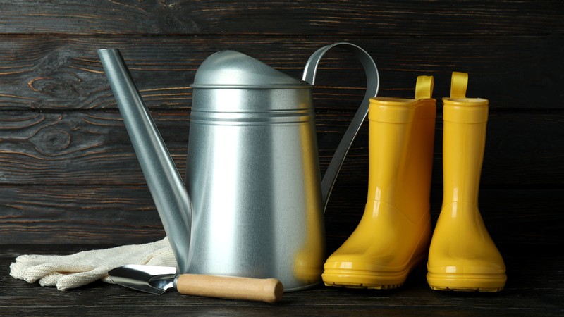 Gardening tools.