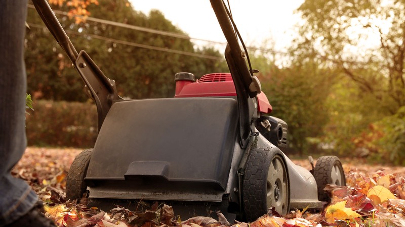 A lawnmower among fallen leaves.