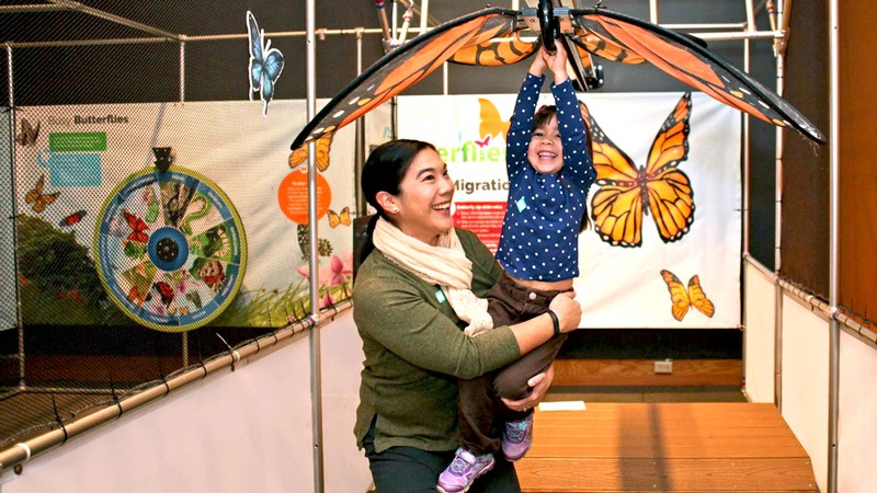 An adult helping a child ride a zipline with butterfly wings.