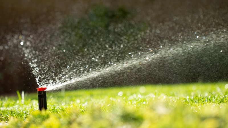 A lawn sprinkler spraying water.