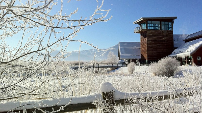 The Swaner EcoCenter.