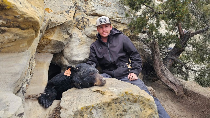 Tanyon Allred and a sedated bear near its cave.