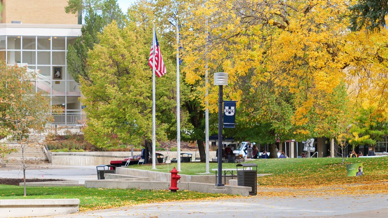 Leaves showing fall colors near the Taggart Student Center.