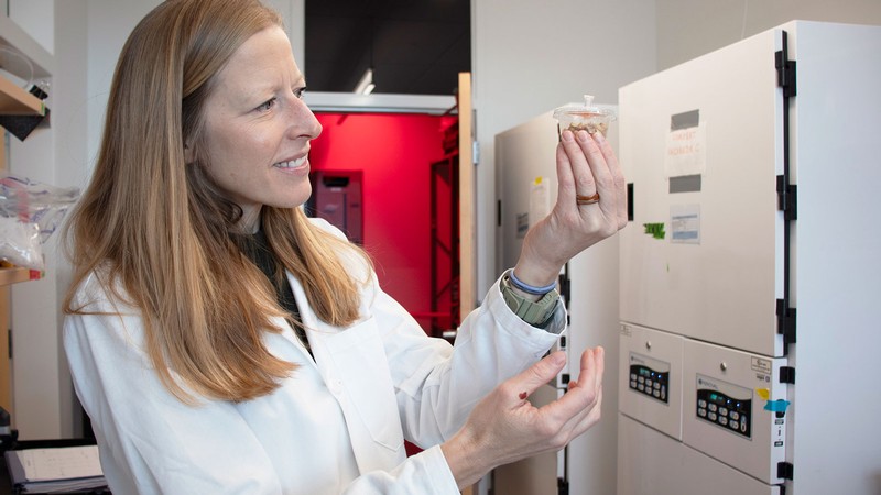 USU biologist Karen Kapheim holding a bee in a container.