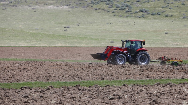 Tractor in a field.