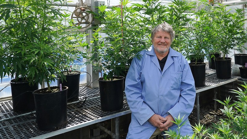 Bruce Bugbee in his plant lab.
