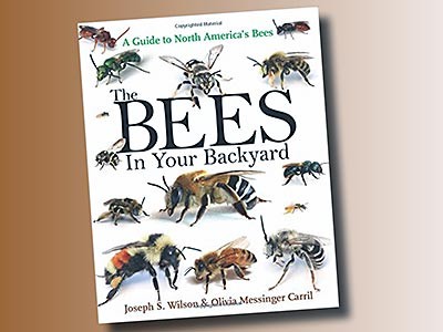 graphic illustration of the bookjacket for 'The Bees in Your Backyard'