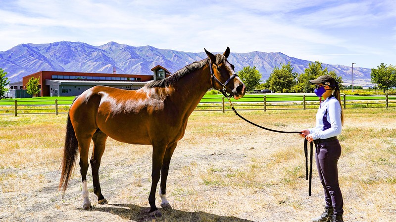 Celine, shown here with USU student Sarah Anderson at the USU Equine Center.