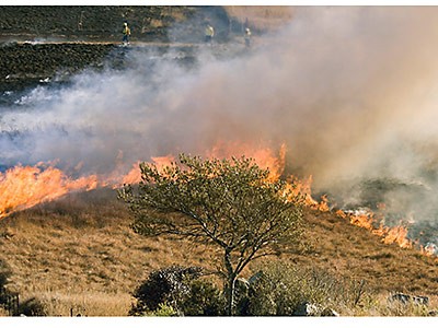 a wilfire