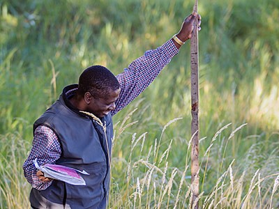 Engineering student measuring plant height for stormwater research