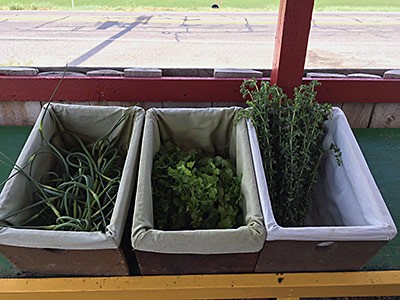 Community Supported Agriculture, produce baskets