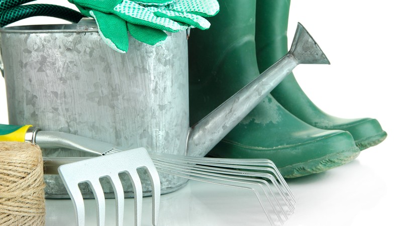 Gardening tools gathered together.