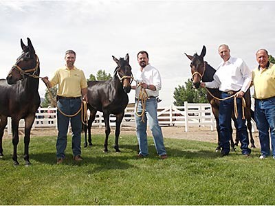 researchers with equine clones