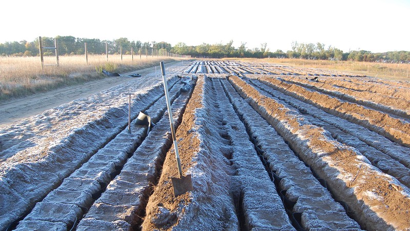 Planting field.