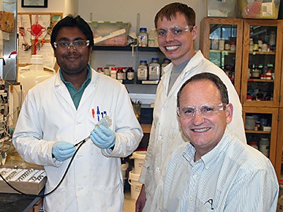 USU professor Lance Seefeldt and graduate students in the lab