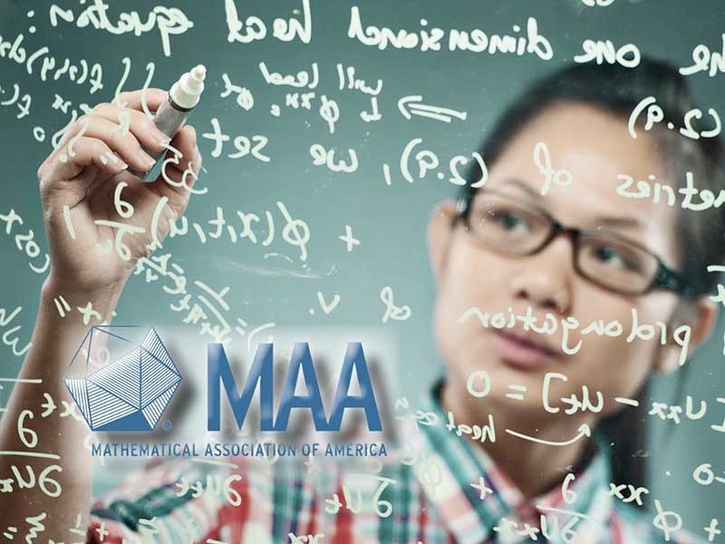 Mathematician at writing board