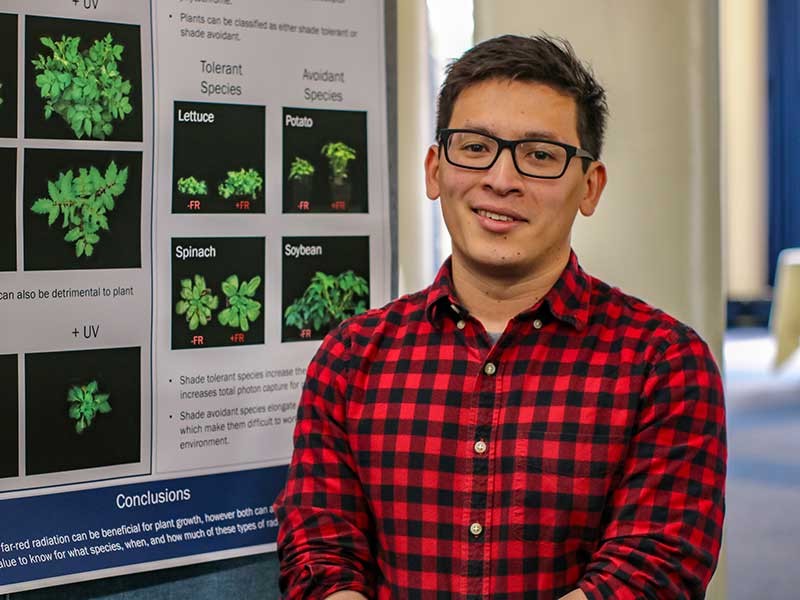 Paul Kusuma investigates strategies for growing plants with artificial lighting.