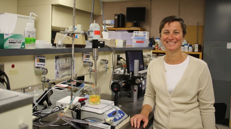 Professor Silvana Martini has been named a fellow of the American Oil Chemists' Society.