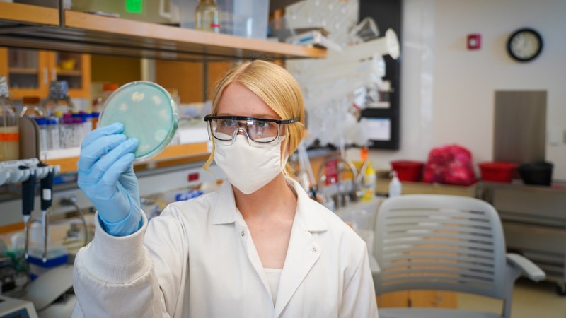 Katherine Webb in the lab.