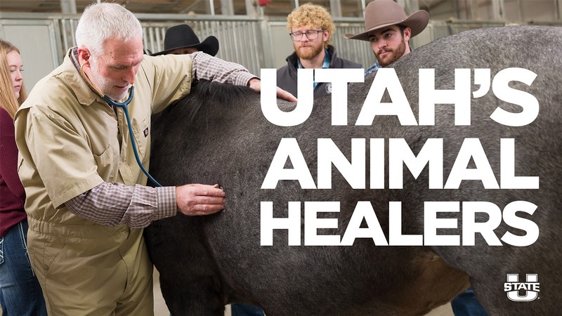 USU's New College of Veterinary Medicine Comes to Life