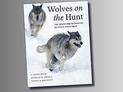Wolves on the Hunt: USU Ecologist Among Authors of Pioneering Book