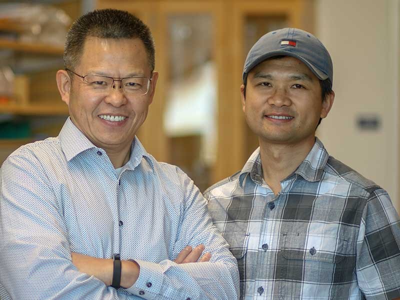 Animal science Professor Zhongde Wang and Rong Li