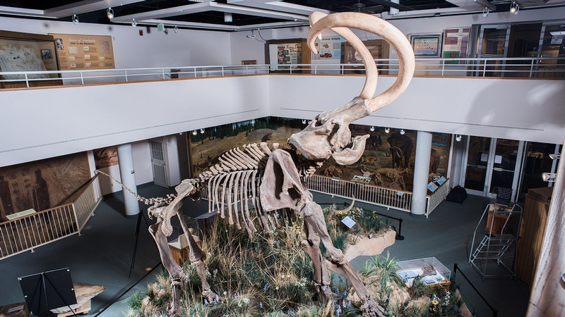 USU Eastern Museum