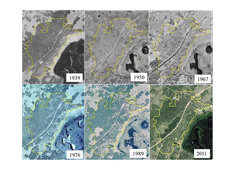 A seventy-two year aerial photo chronosequence showing forest cover change within the Pando