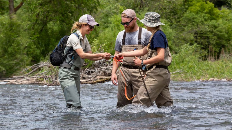 Belize Lane and two other researchers wade in a river.